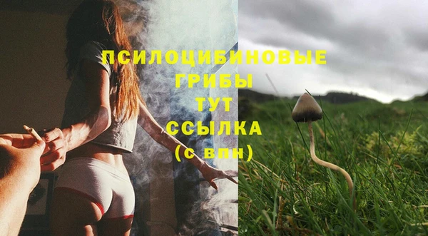 тгк Кулебаки