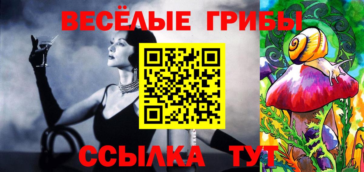 Псилоцибиновые грибы Psilocybe  Брянск 